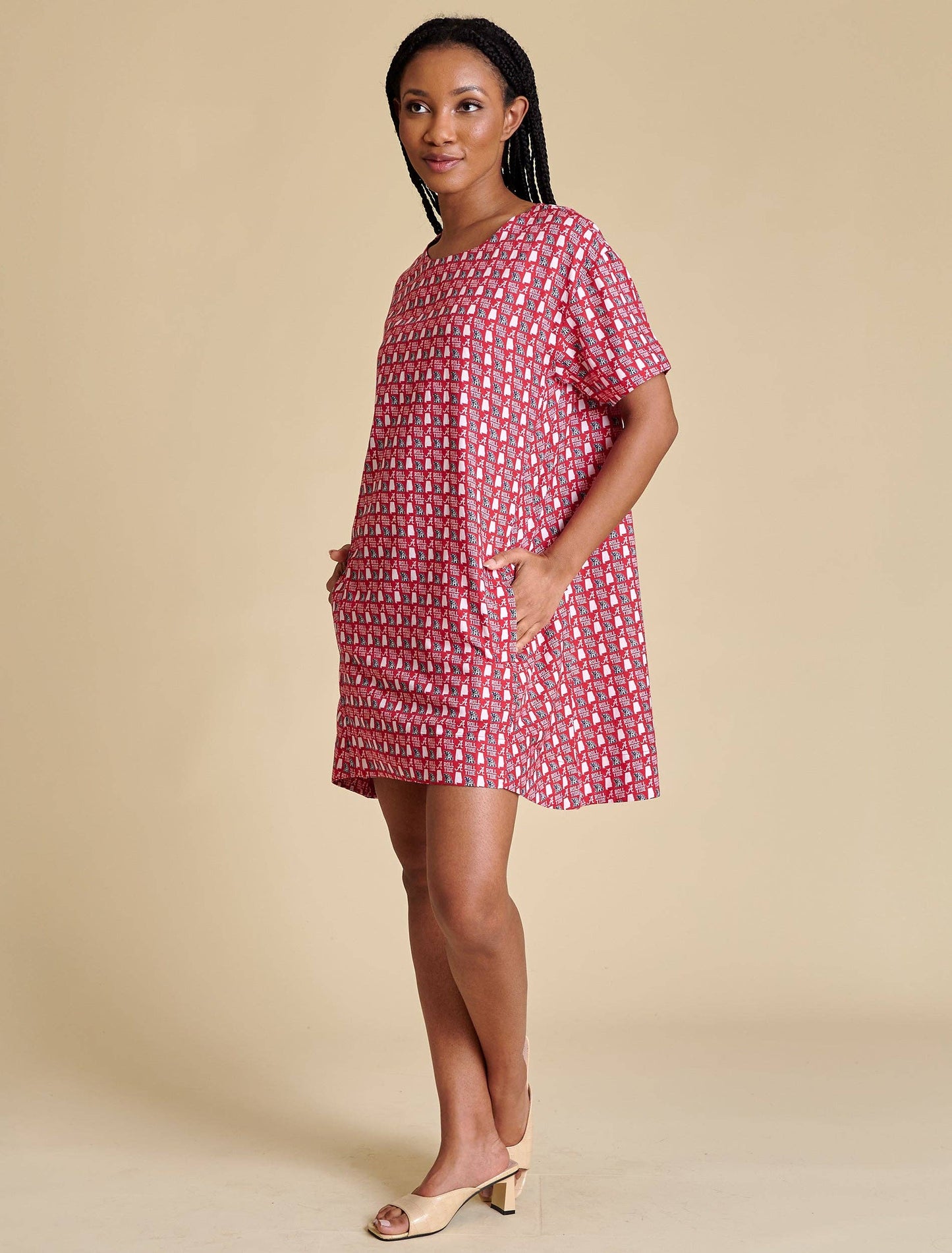 The Twill A-Line Dress