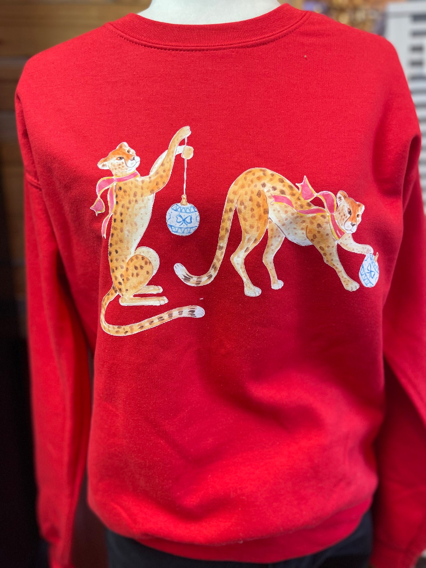 Mystery Christmas Sweatshirt!