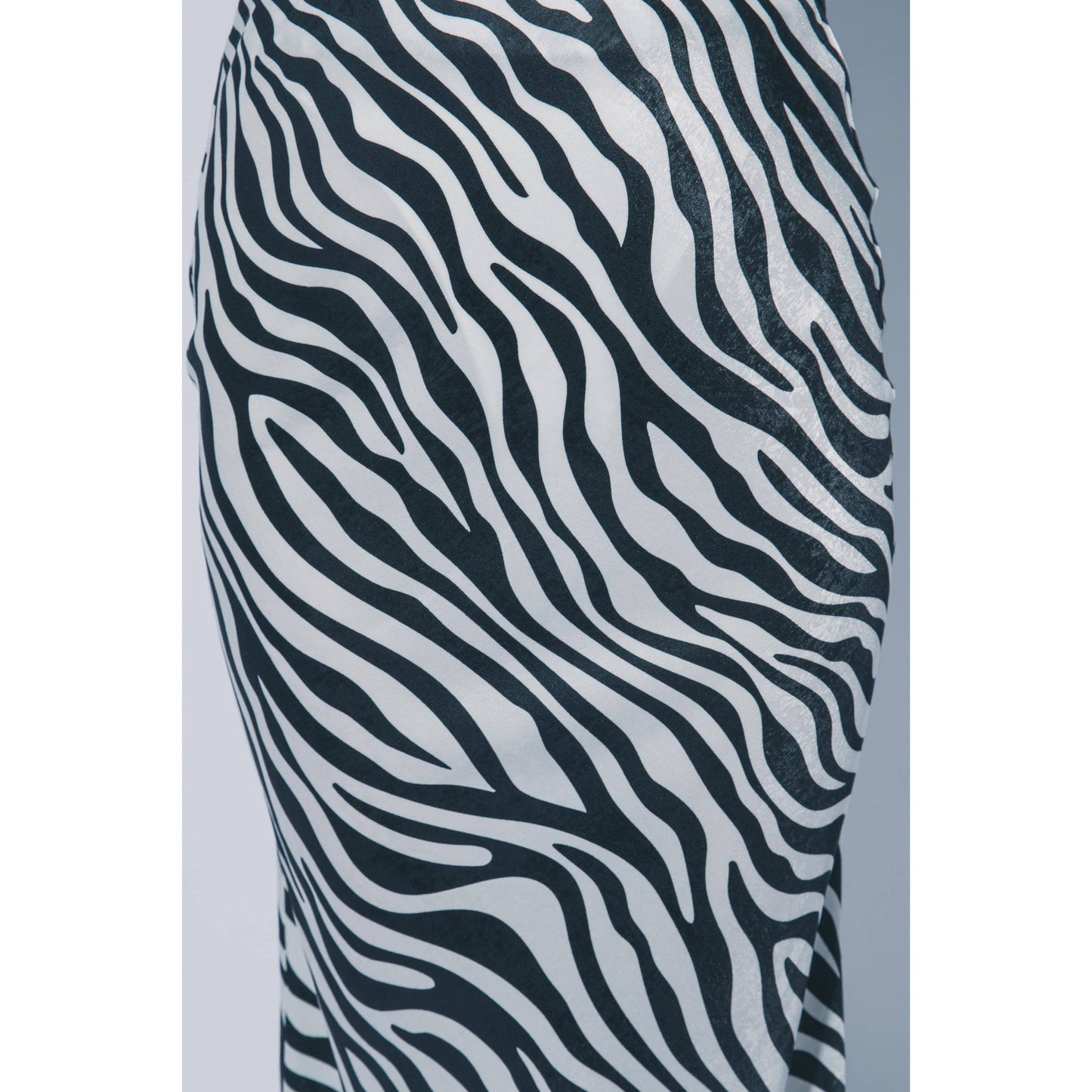 Zebra Print Maxi Skirt