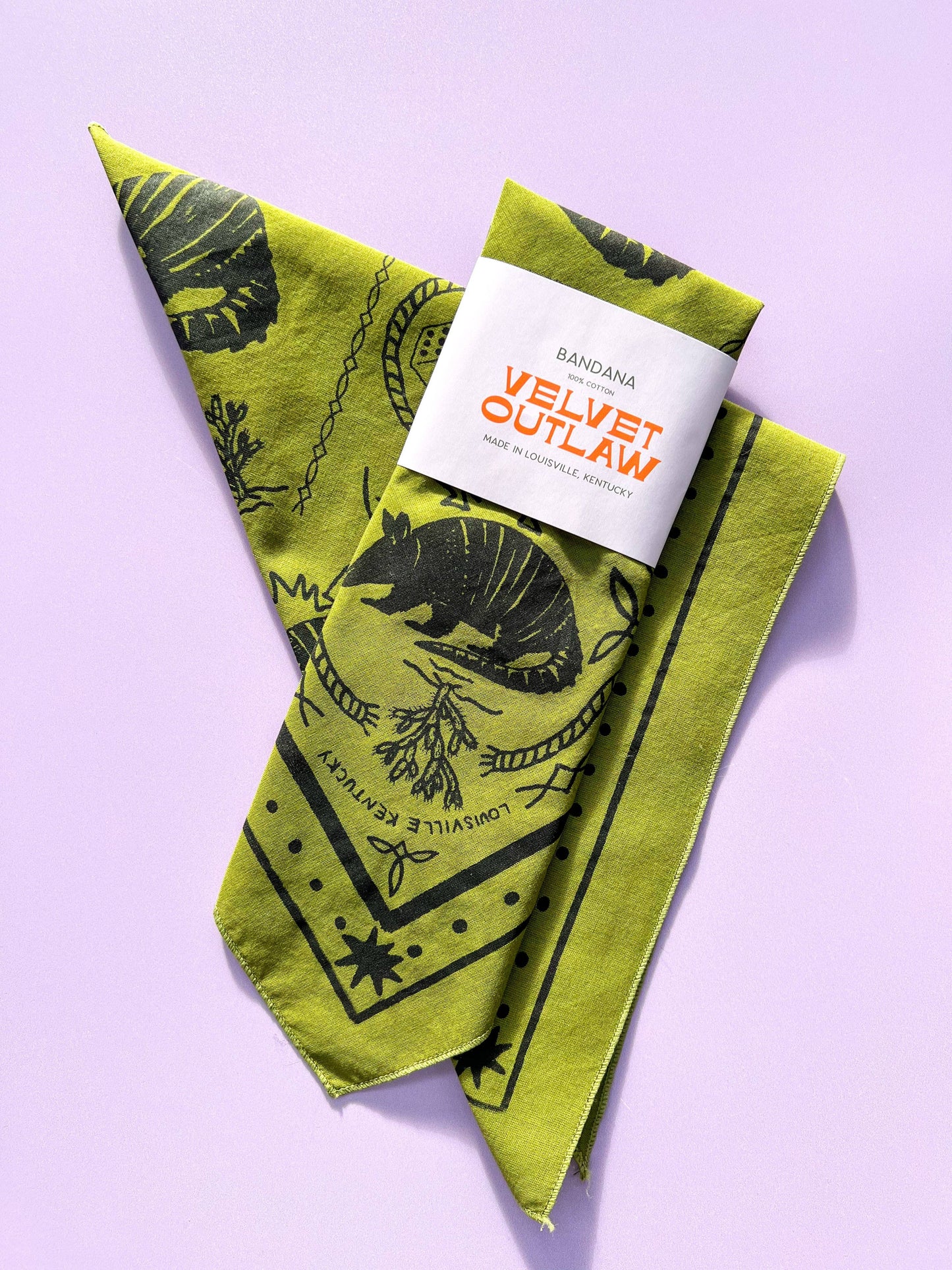 Triangle Armadillo Bandana