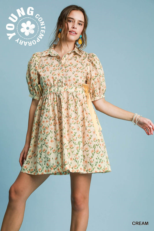 Beauty and Bliss Mini Dress