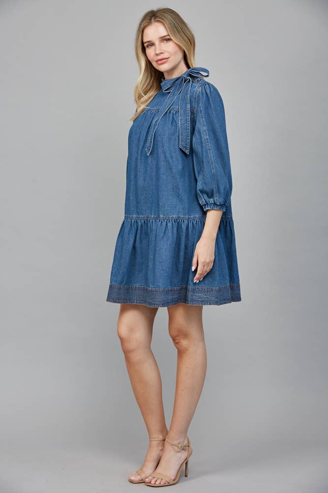 She's a 10 Denim Dress