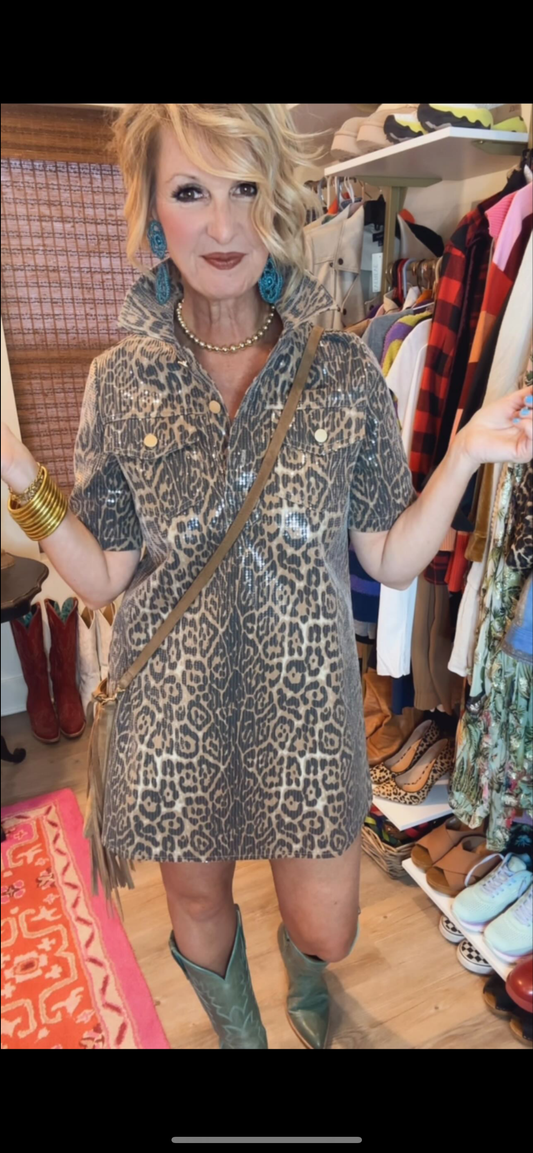 Fancy Leopard Dress