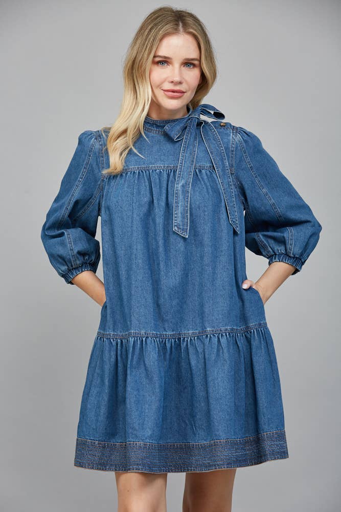 She's a 10 Denim Dress