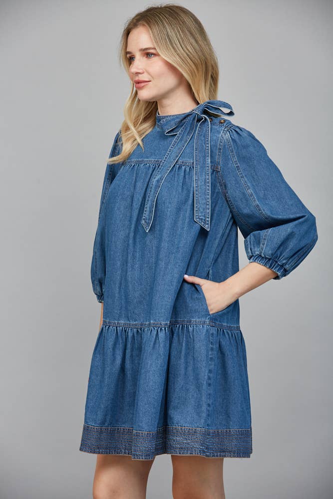 She's a 10 Denim Dress