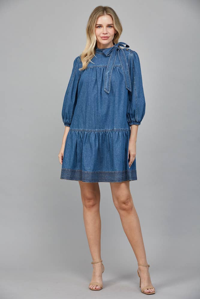 She's a 10 Denim Dress